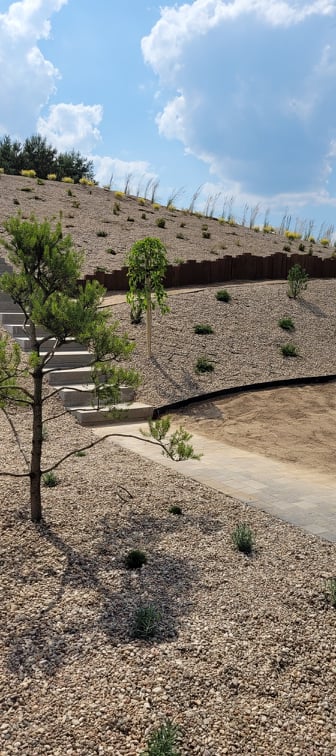 Zakręceni w zieleni projekt